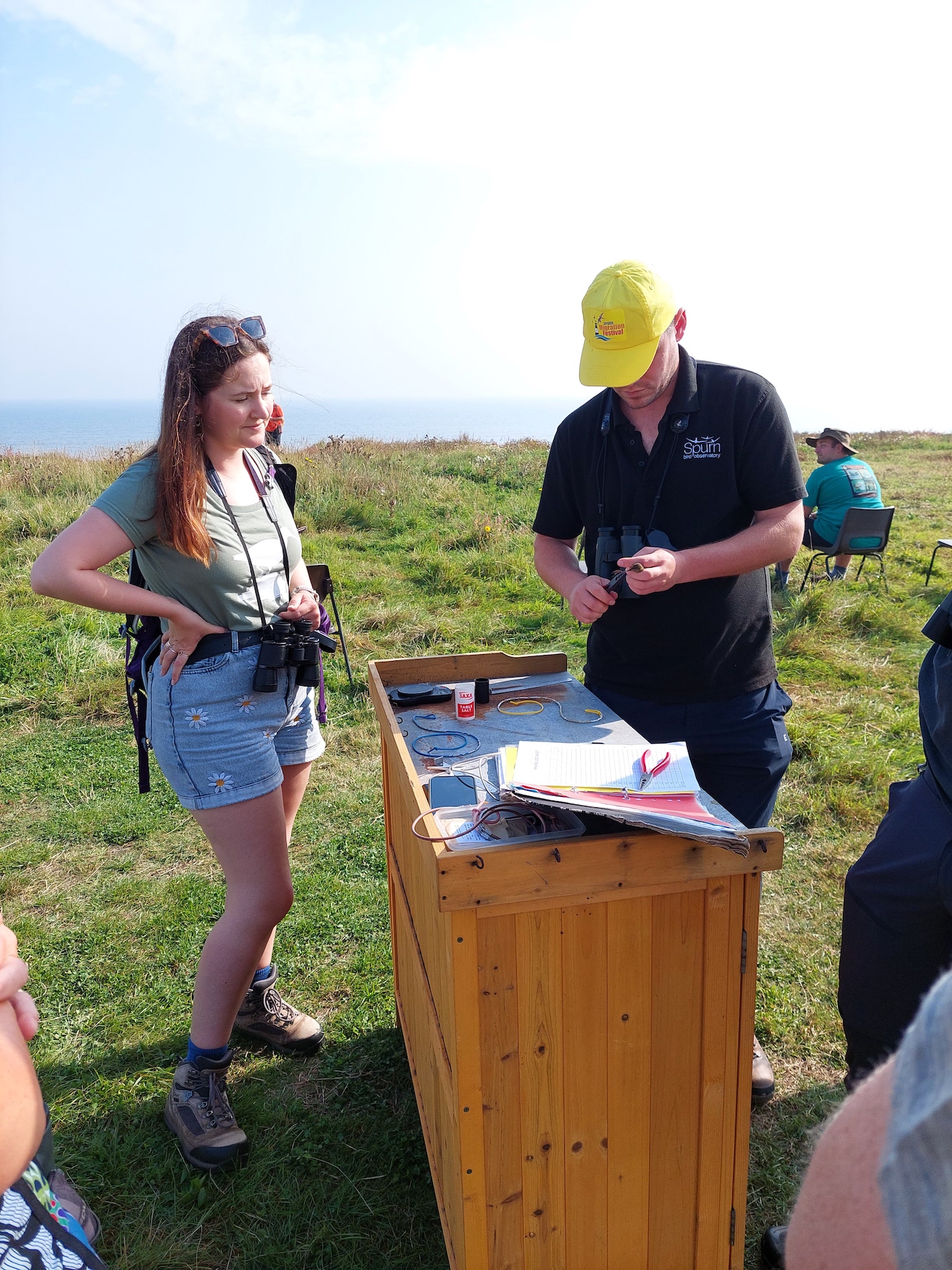 ringing demo